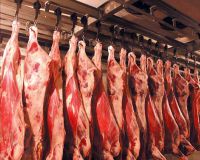 РФ увеличила импорт мяса птицы, говядины и свинины