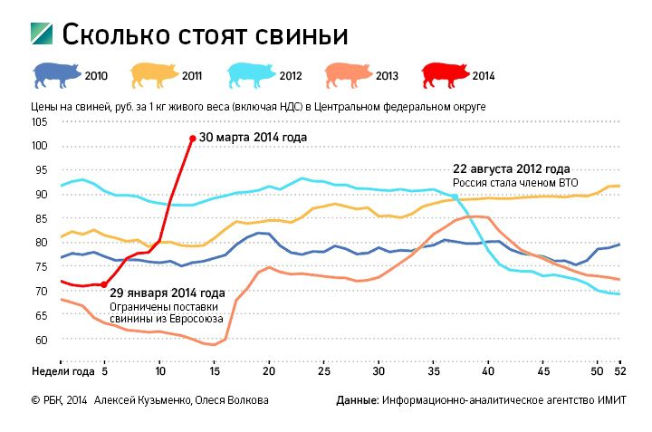 Оптовая стоимость живых свиней в России выросла с начала 2014 года более чем на 40%